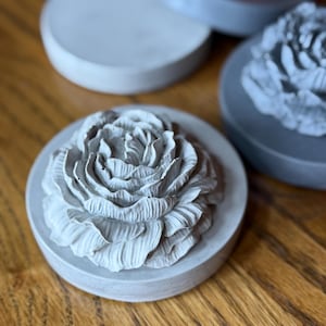 Puede incluir: Una taza de cerámica blanca con un asa negra y el texto "But First, Coffee" en negro, en negrita. La taza está sobre una superficie de madera.