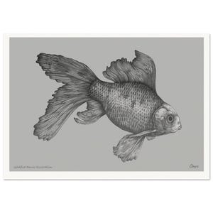Goldfisch Bleistift Illustration - A4 Museum-Qualität Matte Papier Poster A4 21x29,7 cm / 8x12″