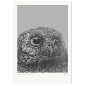Kleine Eule Porträt Bleistift Illustration Druck (A4 Größe) - Museums-Qualität Matte Papier Poster A4 21x29,7 cm / 8x12″