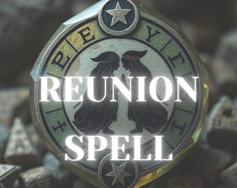 May include: A silver-toned circular charm with a green and gold design. The charm features two figures facing each other and the text "REUNION SPELL".