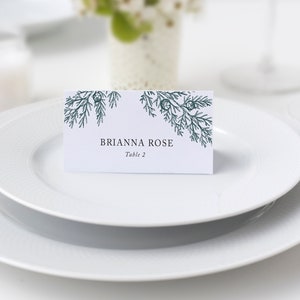 Evergreen Wedding Escort Card, Flat or Folded, Winter Wedding Place Card, Printed Reception Escort Cards, Juniper, Constance, RC2305 image 1