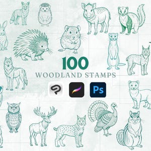 100 Woodland Animal Procreate Brushes - Unique Collection for Nature-Themed Digital Art