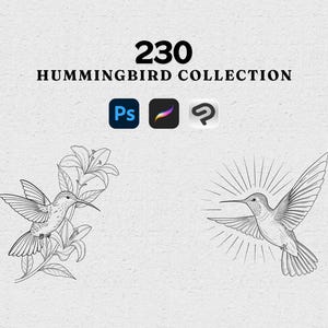 230 Hummingbirds Procreate Stamp Brush Set | Digital Bird Clipart | Watercolor Hummingbird Brushes for Procreate | Hand Drawn Wildlife Art