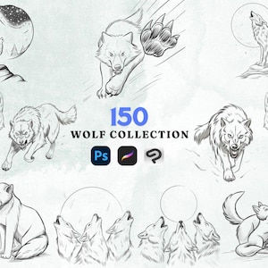 150 Wolf Procreate Brushes - Stunning Collection for Wildlife-Themed Digital Art
