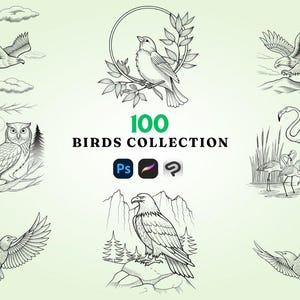 100 Bird Procreate Brushes - Captivating Collection for Nature-Inspired Digital Art