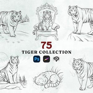 75 Tiger Procreate Brushes - Bold Collection for Wildlife-Themed Digital Art