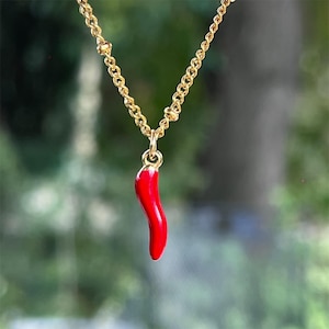 Red chili pepper necklace with stainless steel chain – A discreet and symbolic piece of jewelry for neurodivergent people (neurospicy)