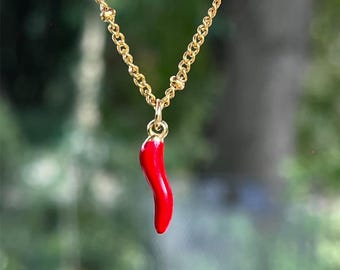 赤い唐辛子ペンダント ネックレス . 新しいコレクション ステンレススチールチェーン付き赤唐辛子ネックレス – 神経多様性を