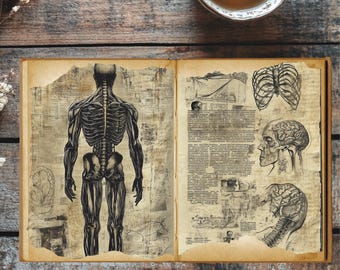 Pages du journal indésirable The Doctor's Forbidden Anatomy | Éphémères médicaux vintage | Gothique sombre imprimable PNG | Pages de collage effrayantes