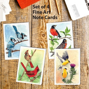 Songbirds Watercolor Note Card Set of 4 by James Steeno Greeting Cards Thank You Blank Inside All Occassion Cards Cardinal Robin