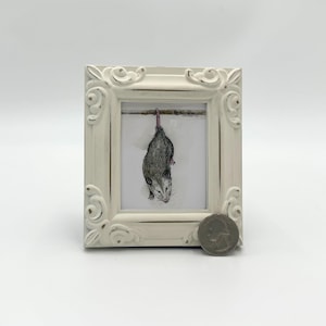 Opossum Framed Miniature  Watercolor Art Print by James Steeno Mini Art, Small Art, Tiny Art, Animal Art, Miniature Art, Possum Art