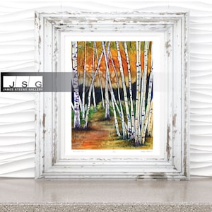 Birches No. 2 Watercolor Art Print by James Steeno (Birch Tree)