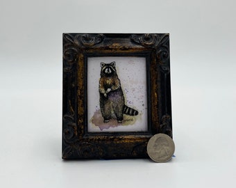 Raccoon Framed Miniature  Watercolor Art Print by James Steeno Mini Art, Small Art, Tiny Art, Animal Art, Miniature Art, Raccoon Art