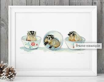 Badgers in Rose Bowls Watercolor Illustrated Art Print by James Steeno