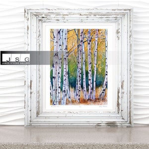 Birches No. 1 Watercolor Art Print by James Steeno (Birch Tree, Birch Trees)