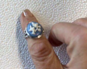May include: A silver ring with a blue cameo featuring a white floral design.