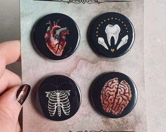 Pin Back Button Pack, Anatomy Buttons, Pack of Four, Oddity and Curiosity Gift