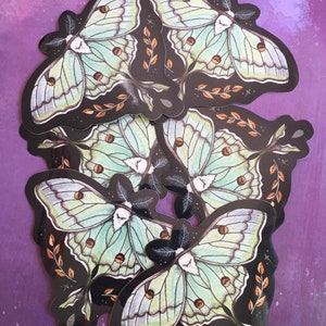 Luna Moth Glossy Vinyl Sticker, Actias luna image 7