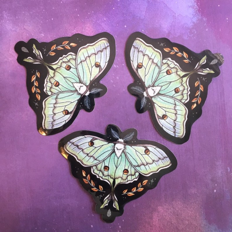 Luna Moth Glossy Vinyl Sticker, Actias luna image 2