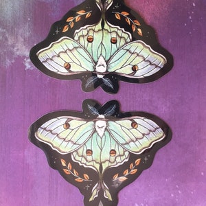 Luna Moth Glossy Vinyl Sticker, Actias luna image 4