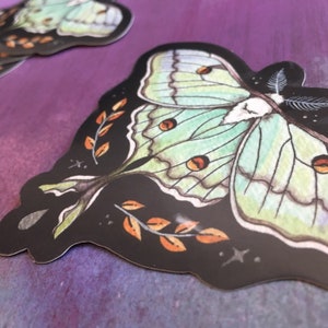 Luna Moth Glossy Vinyl Sticker, Actias luna image 5