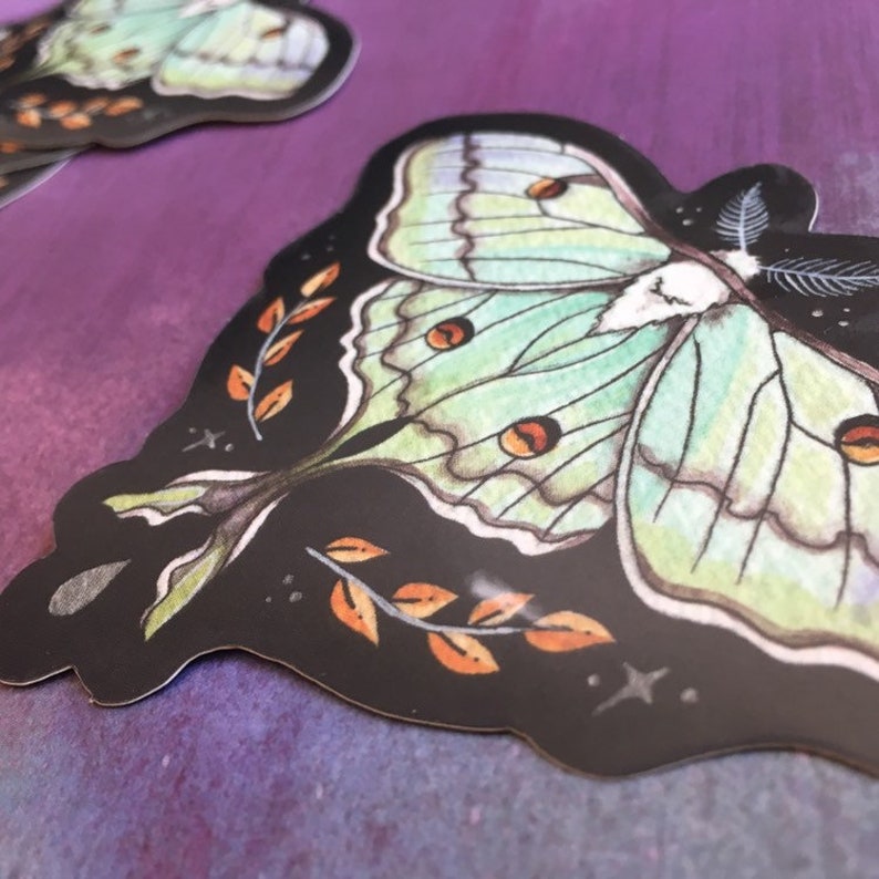 Luna Moth Glossy Vinyl Sticker, Actias luna image 5