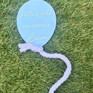 Painted Balloon Acrylic Disc for New Baby / Balloon sign / Birth Announcement Gender Reveal / Social Media Photo Prop/Baby Arrival Sign