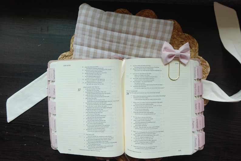 May include: An open book with pink page markers, a pale pink bow, and a gold paper clip. A beige and white checked fabric is behind the book. A white ribbon is on the left side of the book.