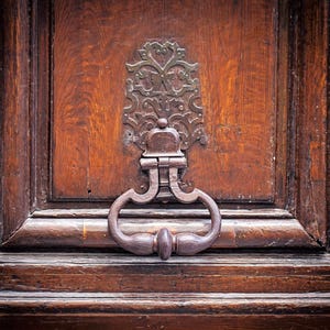 Paris Door Knocker Photograph: Brown Door Art Print