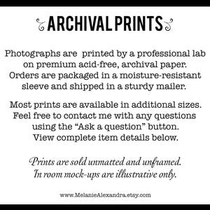 Puede incluir: Texto sobre un fondo blanco con texto negro que describe impresiones de archivo. El texto dice: "Las fotograf&iacute;as se imprimen en un laboratorio profesional en papel de archivo de calidad premium sin &aacute;cido. Los pedidos se empaquetan en una funda resistente a la humedad y se env&iacute;an en un sobre resistente. La mayor&iacute;a de las impresiones est&aacute;n disponibles en tama&ntilde;os adicionales. No dude en ponerse en contacto conmigo si tiene alguna pregunta utilizando el bot&oacute;n "Hacer una pregunta". Vea los detalles completos del art&iacute;culo a continuaci&oacute;n. Las impresiones se venden sin enmarcar y sin montar. Las maquetas en la habitaci&oacute;n son solo ilustrativas. www.MelanieAlexandra.etsy.com"