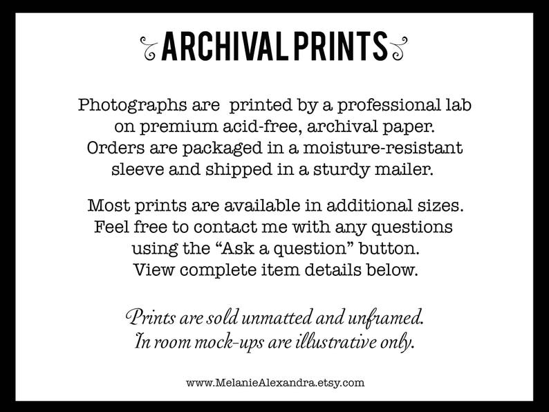 Puede incluir: Texto sobre un fondo blanco con texto negro que describe impresiones de archivo. El texto dice: "Las fotograf&iacute;as se imprimen en un laboratorio profesional en papel de archivo de calidad premium sin &aacute;cido. Los pedidos se empaquetan en una funda resistente a la humedad y se env&iacute;an en un sobre resistente. La mayor&iacute;a de las impresiones est&aacute;n disponibles en tama&ntilde;os adicionales. No dude en ponerse en contacto conmigo si tiene alguna pregunta utilizando el bot&oacute;n "Hacer una pregunta". Vea los detalles completos del art&iacute;culo a continuaci&oacute;n. Las impresiones se venden sin enmarcar y sin montar. Las maquetas en la habitaci&oacute;n son solo ilustrativas. www.MelanieAlexandra.etsy.com"