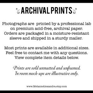 May include: Text on a white background with black text describing archival prints. The text reads: "Photographs are printed by a professional lab on premium acid-free, archival paper. Orders are packaged in a moisture-resistant sleeve and shipped in a sturdy mailer. Most prints are available in additional sizes. Feel free to contact me with any questions. View complete item details below. Prints are sold unmatted and unframed. In room mock-ups are illustrative only. www.MelanieAlexandra.etsy.com"