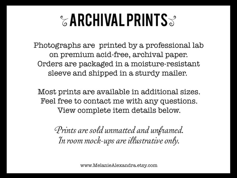 May include: Text on a white background with black text describing archival prints. The text reads: "Photographs are printed by a professional lab on premium acid-free, archival paper. Orders are packaged in a moisture-resistant sleeve and shipped in a sturdy mailer. Most prints are available in additional sizes. Feel free to contact me with any questions. View complete item details below. Prints are sold unmatted and unframed. In room mock-ups are illustrative only. www.MelanieAlexandra.etsy.com"