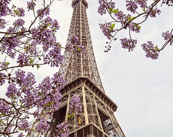 Paris Eiffel Tower Photography Print Springtime Paris Blossoms Wall Art Paris Gift for Her Paris Photo Art for Living Room Decor
