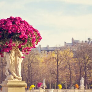 Paris Photography Print: Luxembourg Gardens in Fall, Pink Blooms