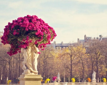 Paris Pink Blooms Luxembourg Gardens Photography Print, Classic Paris Wall Decor, Pink Floral Photography Art Print for Her