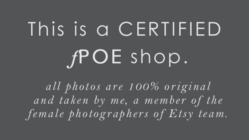 Shakespeare Paris Bookstore Print Paris Bookstore Wall Art Paris Photography Art Print Gift for Book Lover