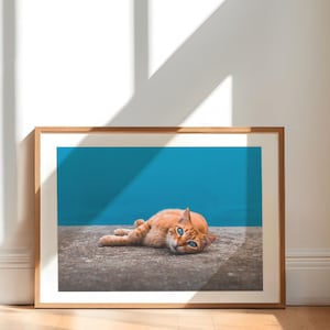 Orange Cat Photo | Digital Download | Animal Wall Art | Printable Poster by Robin Skarsteen