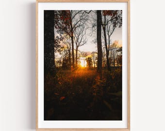 Evening Radiance | Autumn Forest Photography Print | Serene Fjord Sunset Wall Art | Digital Download for Home Decor