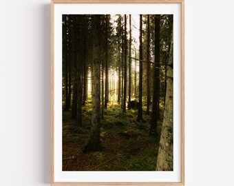 Forest Glow | Autumn Nature Photography Print | Enchanted Woodland Wall Art | Digital Download for Home Decor