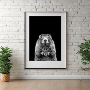 Marmot Wall Art, Black and White Marmot Illustration, Minimalist Wildlife Digital Print, Modern Forest Decor, Black and White Animal