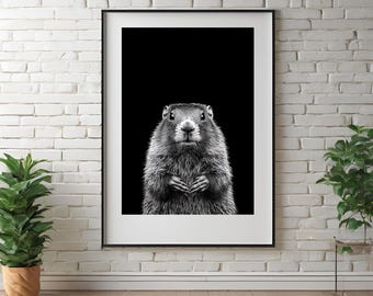 Marmot Wall Art, Black and White Marmot Illustration, Minimalist Wildlife Digital Print, Modern Forest Decor, Black and White Animal