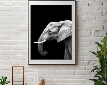 May include: A black and white photograph of an elephant's head and trunk against a black background.