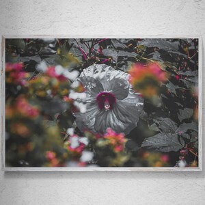Pink and White Floral Photo Print, Floral Photography Print, Nature Flower Photo, Flower Canvas Art, Home Office Wall Decor,