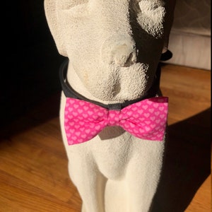 Herzchen-Rosa Hundefliege zum Valentinstag