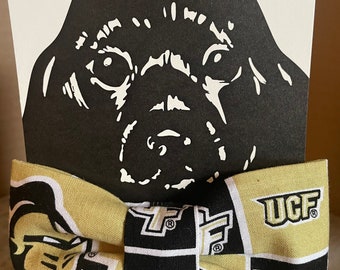 Sports-UCF #2 Pet Bow Tie
