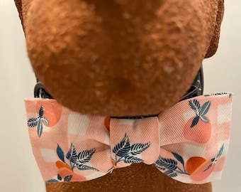 Summer-Peaches Bow Tie