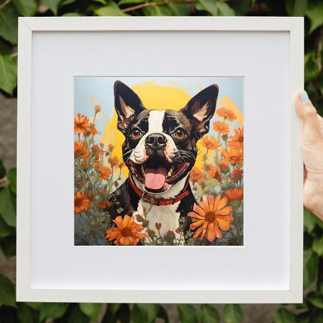 Lámina artística de un Boston Terrier: Perro sonriente en un campo de  flores (descarga digital) - Etsy México, image size:1080x1080