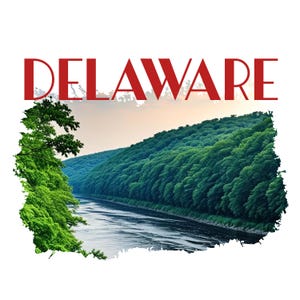 Delaware PNG Delaware t shirt Delaware digital download Delaware sublimation design Delaware tumbler wrap gift for her gift for him