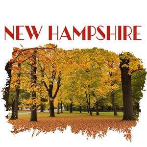 New Hampshire PNG New Hampshire t shirt New Hampshire digital download New Hampshire sublimation design gift for her gift for him